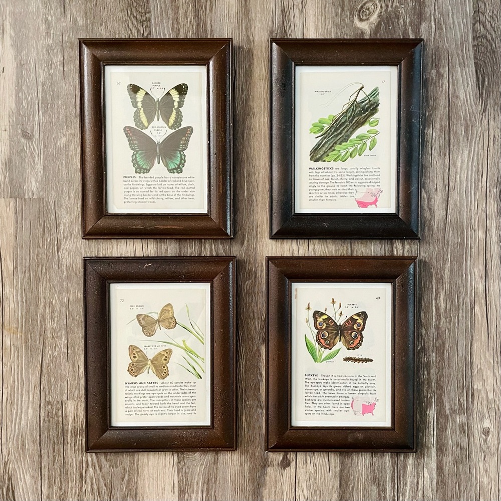 Vintage Botanical Butterfly Book Page Framed Wall Art